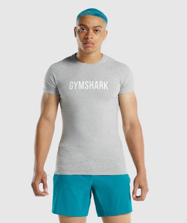 Panske Tricka Gymshark Apollo Svetlo Siva | UH6508372